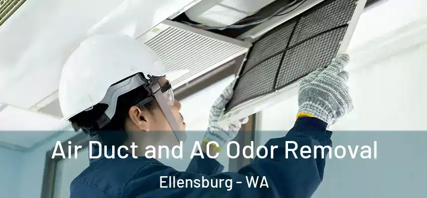  Air Duct and AC Odor Removal Ellensburg - WA