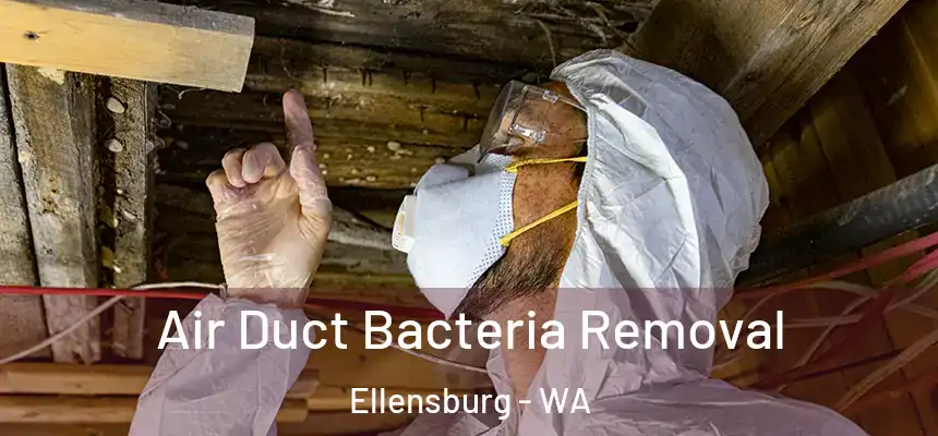  Air Duct Bacteria Removal Ellensburg - WA
