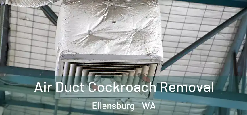 Air Duct Cockroach Removal Ellensburg - WA