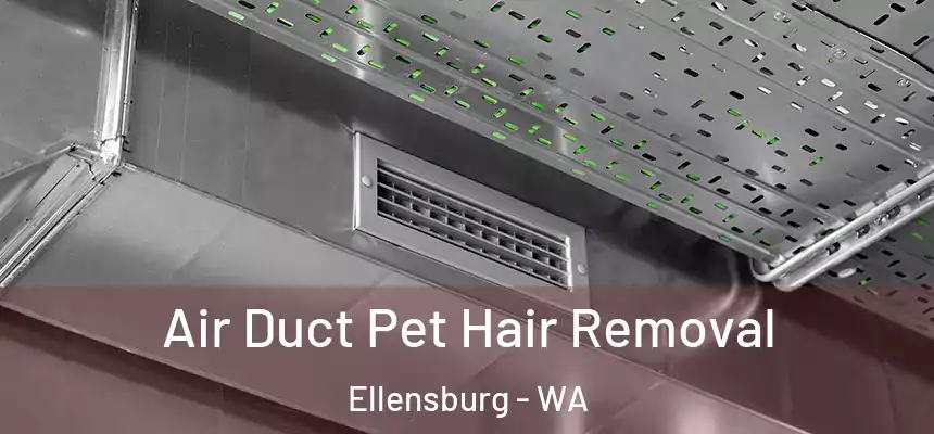 Air Duct Pet Hair Removal Ellensburg - WA