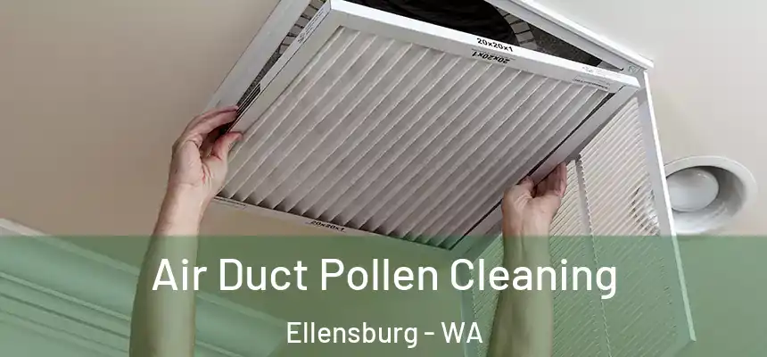 Air Duct Pollen Cleaning Ellensburg - WA