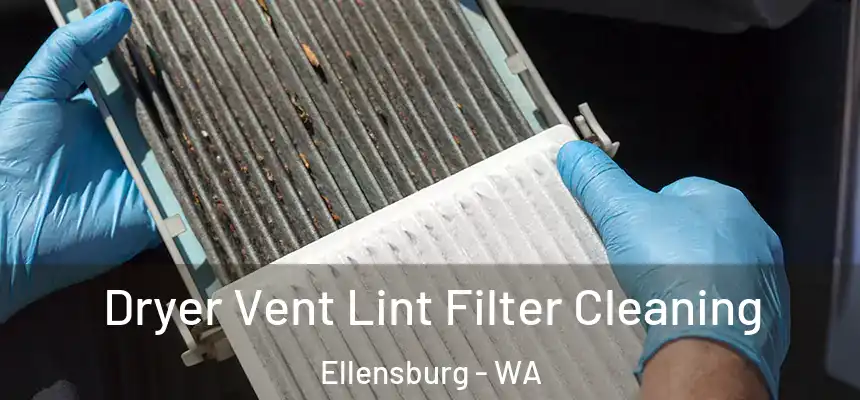 Dryer Vent Lint Filter Cleaning Ellensburg - WA