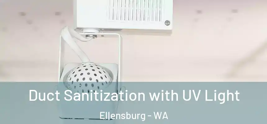  Duct Sanitization with UV Light Ellensburg - WA