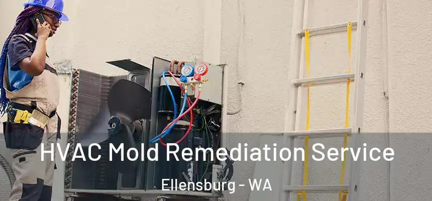  HVAC Mold Remediation Service Ellensburg - WA
