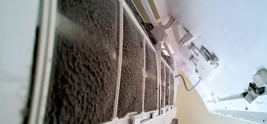 Preventive Air Duct Bacteria Removal in Ellensburg