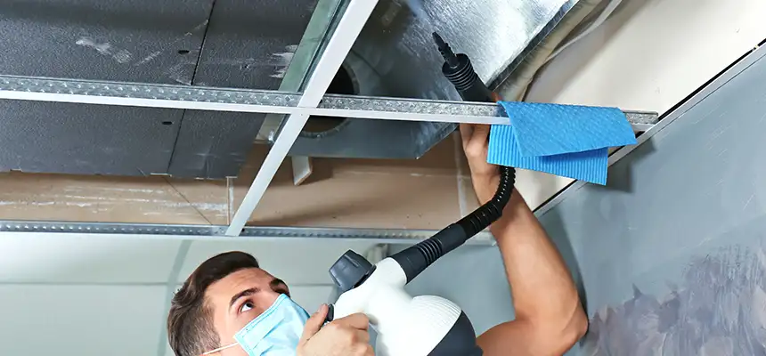Our Air Duct Rodent Removal Services in Ellensburg, WA