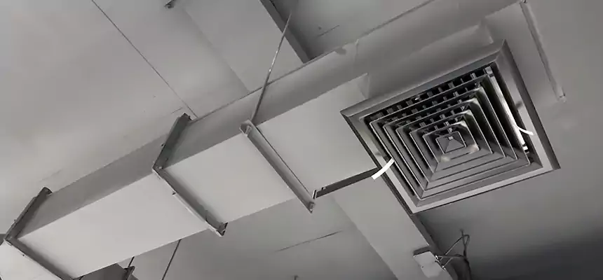 Our Rodent Droppings In Vents Services in Ellensburg, WA