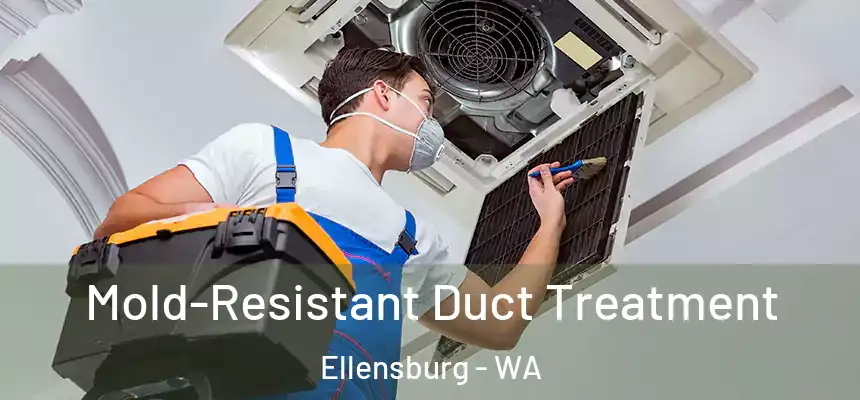  Mold-Resistant Duct Treatment Ellensburg - WA