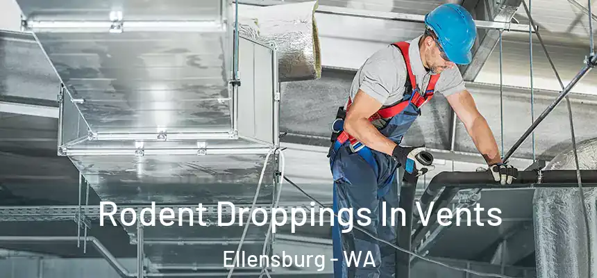 Rodent Droppings In Vents Ellensburg - WA