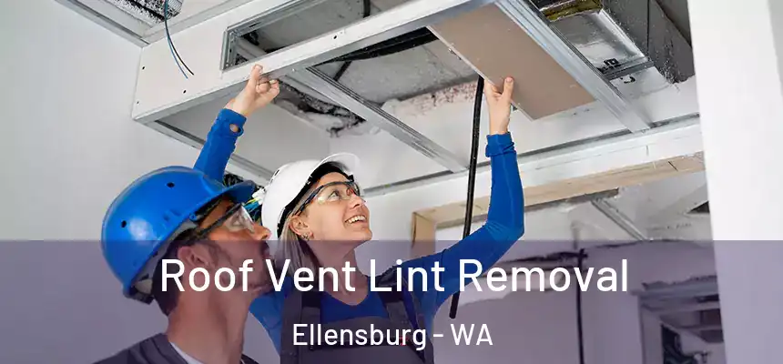  Roof Vent Lint Removal Ellensburg - WA