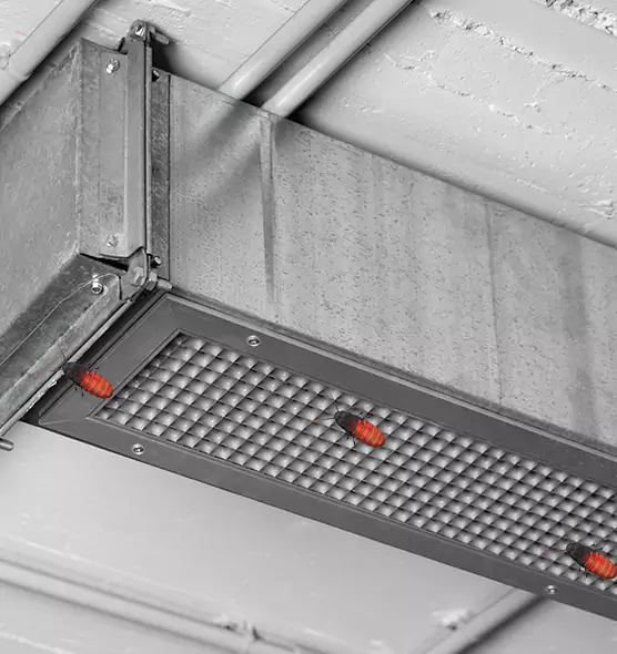 About Air Duct Cockroach Removal in Ellensburg, WA