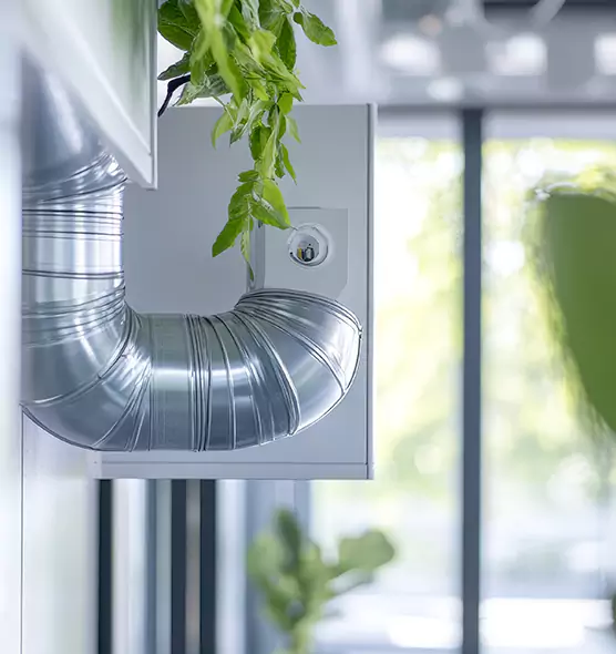 Professional Eco-Safe Dryer Vent Cleaning in Ellensburg, WA