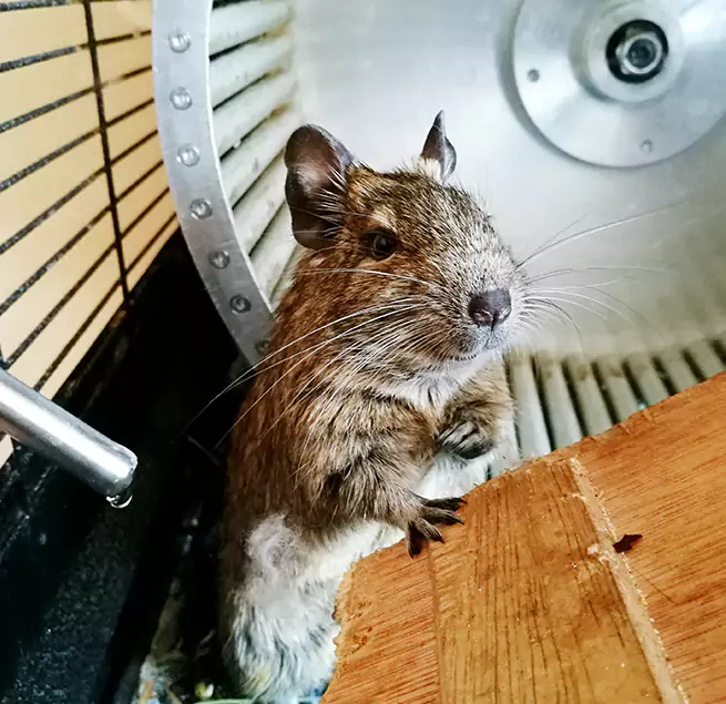 Why Homeowners & Businesses Trust Us Ellensburg, WA