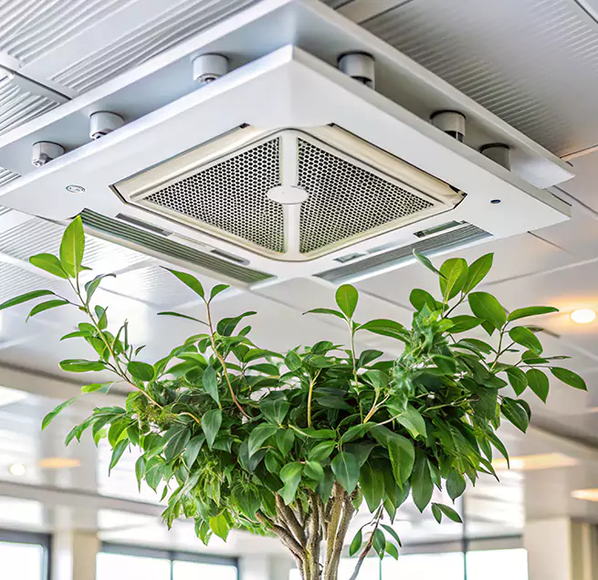 Why Homeowners & Businesses Trust Us in Ellensburg, WA?