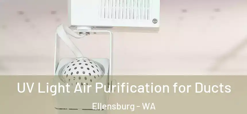UV Light Air Purification for Ducts Ellensburg - WA